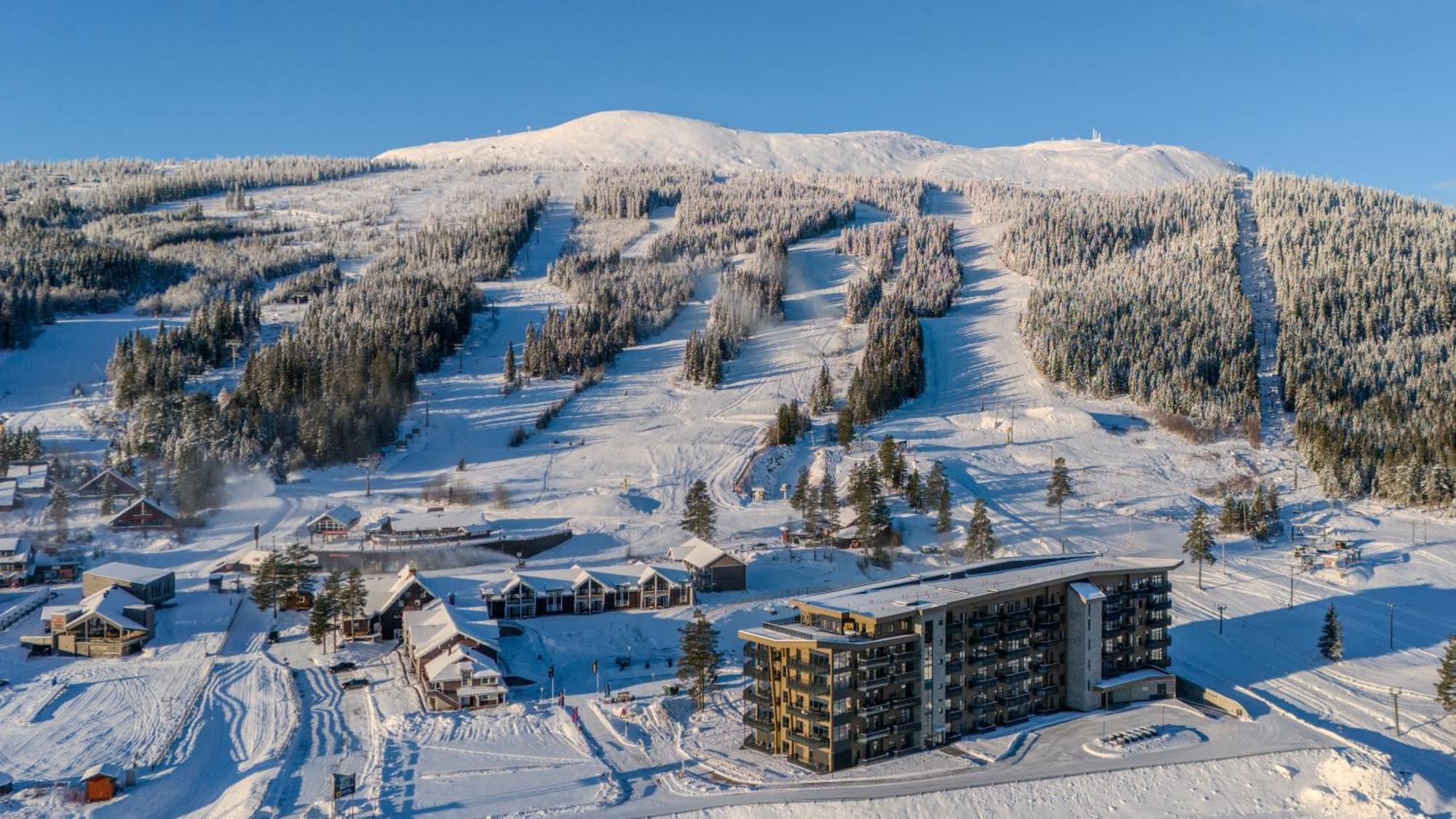 Alpine Apartment