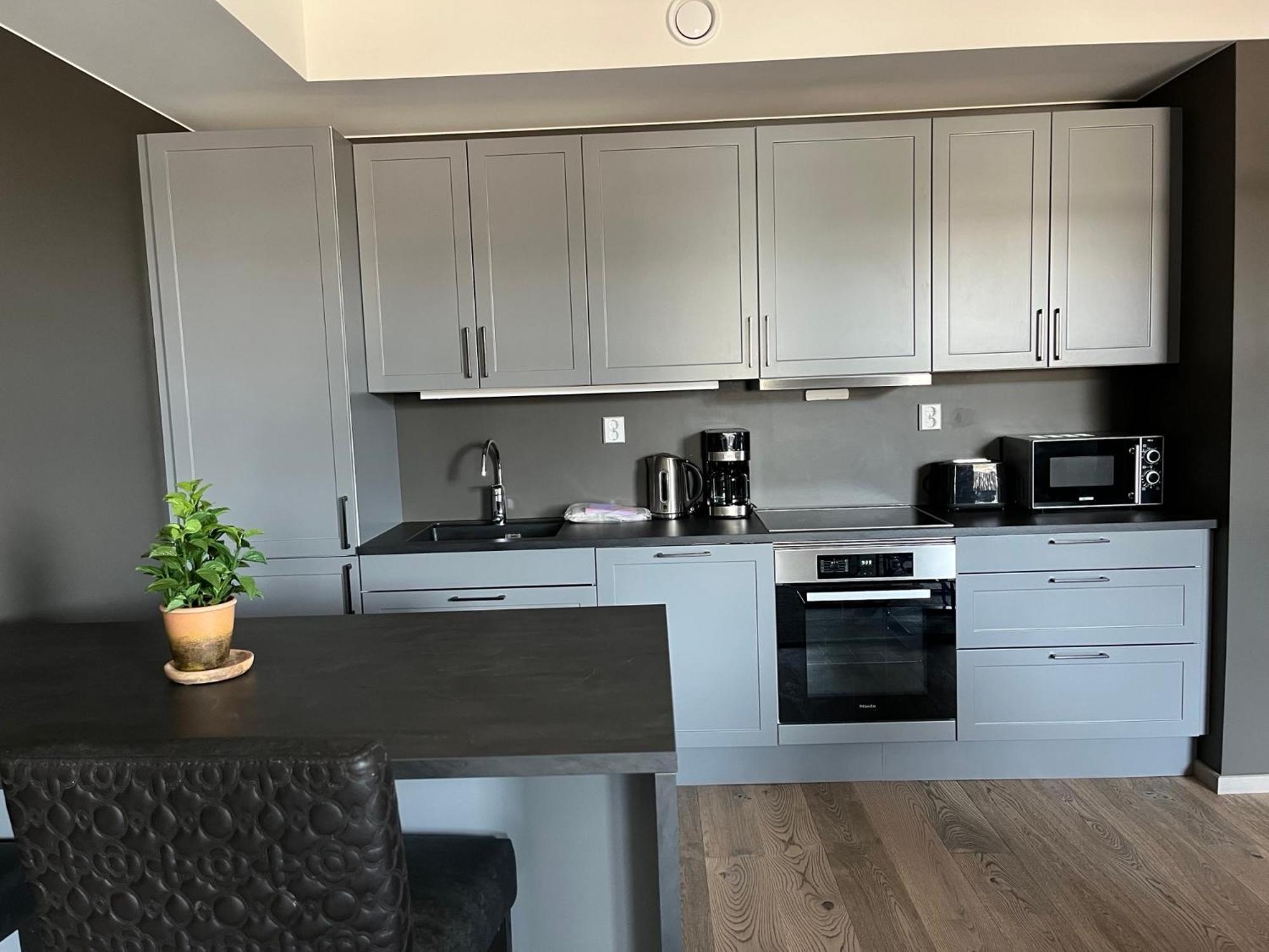 Alpine Appartement Trysil